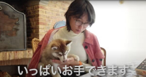 杏と愛犬タオキの画像